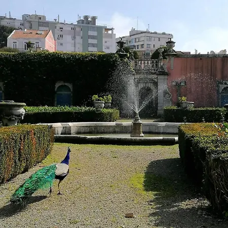 Apartament Cozy & Charming In Estrela *