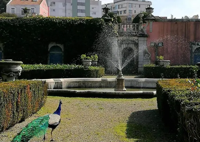 Apartament Cozy & Charming In Estrela *